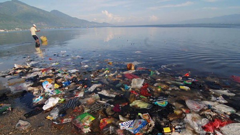 Pencemaran Air Laut dan Efeknya Terhadap Tambak Ikan di Indonesia