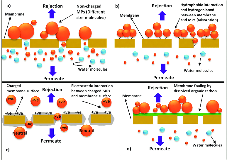 Pencuci Membrane