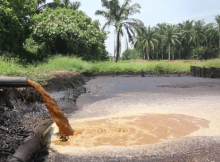 limbah cair kelapa sawit
