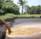 limbah cair kelapa sawit