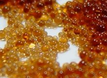 ion exchange resin
