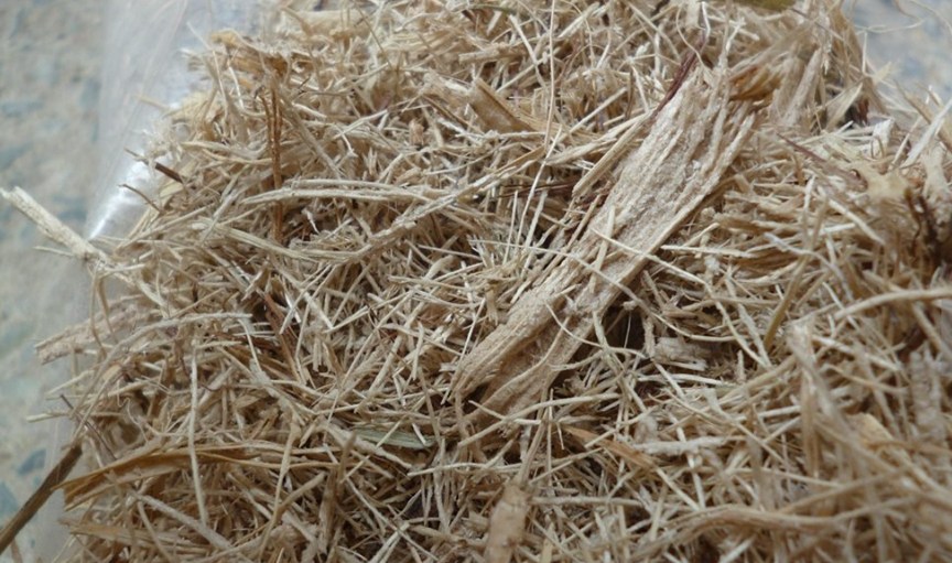 5 Metode Pengolahan Limbah Pabrik Gula